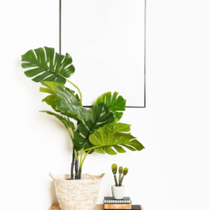 Home Botanical Wall Frame