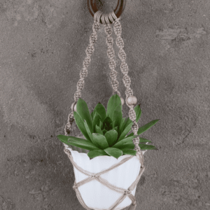 Home Verdant Hanging Planter