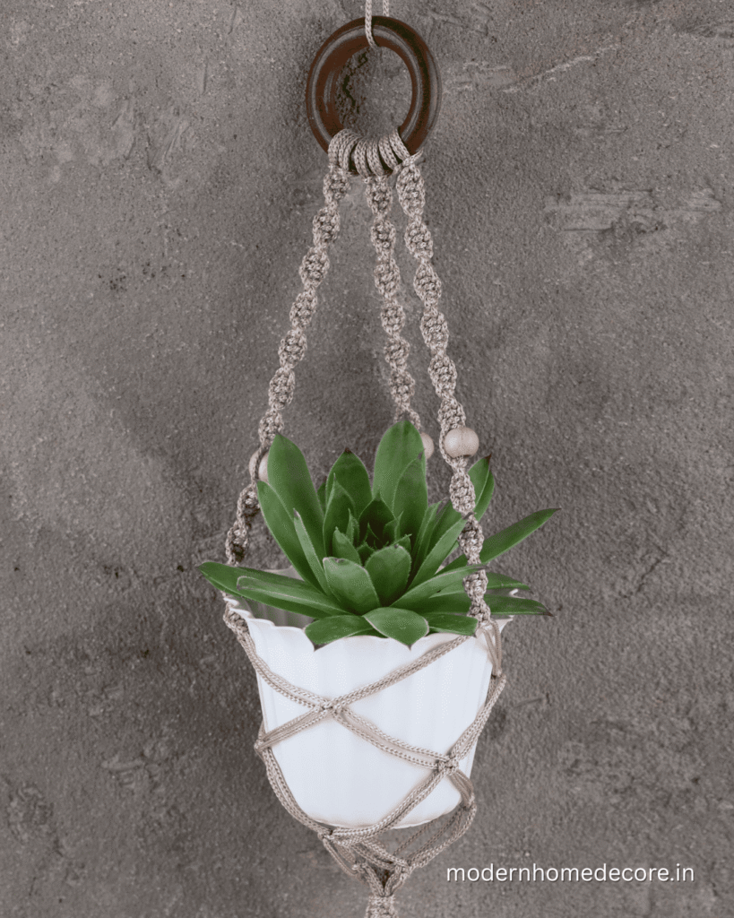 Verdant Hanging Planter