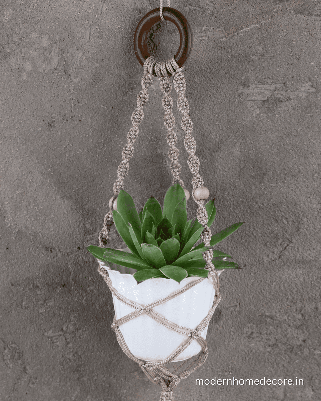 Verdant Hanging Planter Verdant Hanging Planter